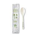 World Centric TPLA Compostable Cutlery, Spoon, 6", White, PK750, 750PK SP-PS-I